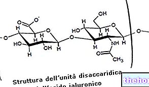 Suplementos de ácido hialurónico