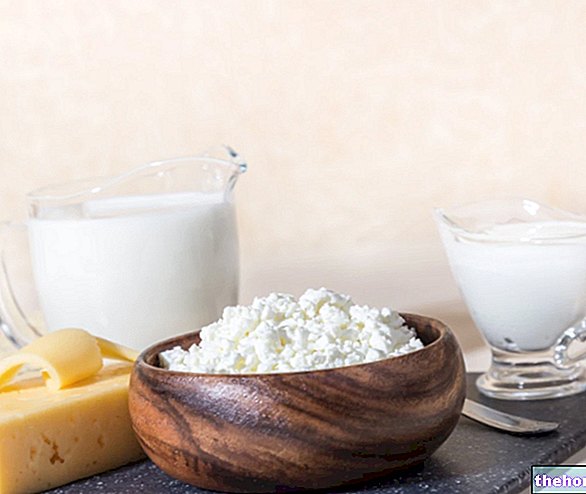 Susu, Produk Tenusu dan Osteoporosis