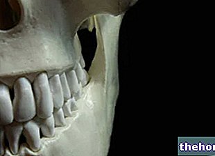 Mandíbula: diferencias con maxilar, osteonecrosis e infarto