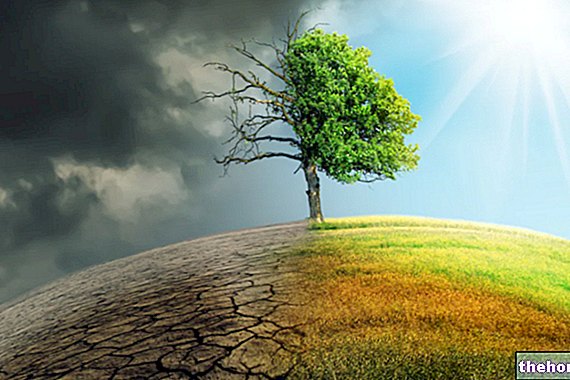 שינויי אקלים: כל ההשפעות על בריאות האדם