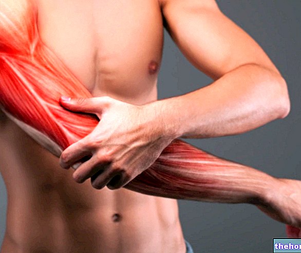 Heilmittel für DOMS - Muskelschmerzen nach dem Training