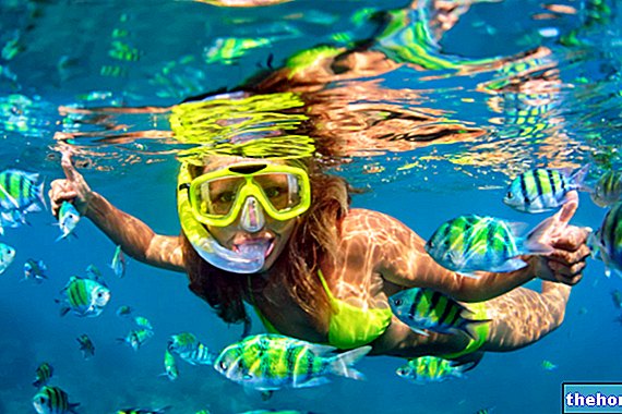 Kuinka valita naamio ja evät snorklausta ja sukellusta varten