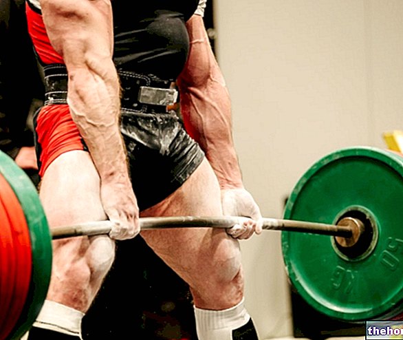 Maksymalna siła: czy jest ważna dla wzrostu mięśni?
