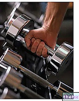 Træningshemmeligheder for at få muskelmasse