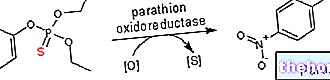 toksisite-ve-toksikoloji - parathion