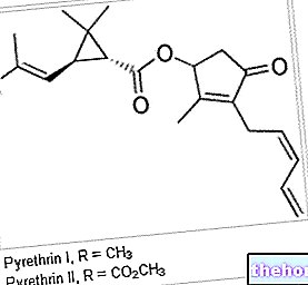 Pyrèthre : toxicité du pyrèthre et dérivés