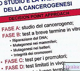 Undersøgelse og evaluering af carcinogenese