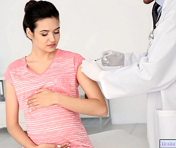 Vacunas durante el embarazo: ¿qué son? Por que y cuando hacerlas