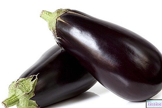 Eggplant in Brief, Summary on Eggplant