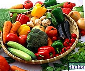 Vegetal - Propiedades nutricionales