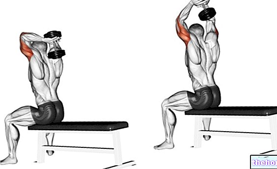 Extensions de triceps haltères assis
