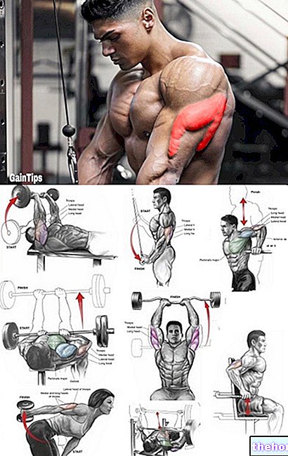 Triceps Sodi - Killer Workout - 1. úroveň veľmi ľahko
