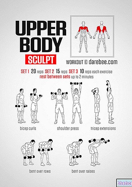 Upper Body Workout - แขน, หน้าอกและหลัง