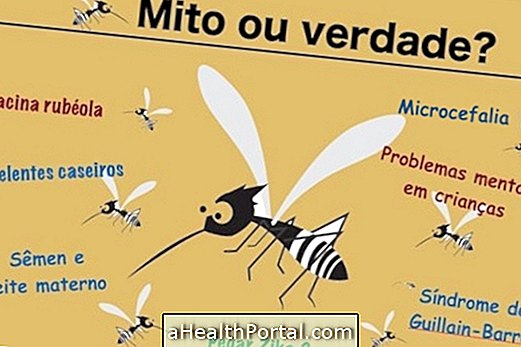Tout ce que vous devez savoir sur Zika