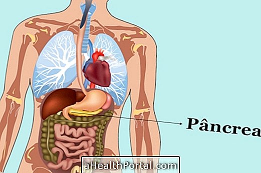 Apprenez les fonctions du pancréas et de ses maladies associées