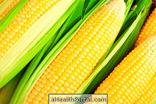 Le maïs protège la vue et améliore l'intestin