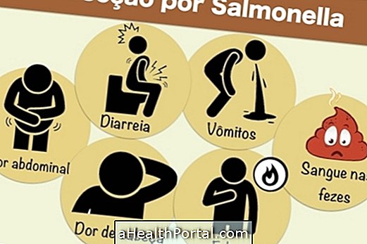 Symptômes de salmonellose et traitement