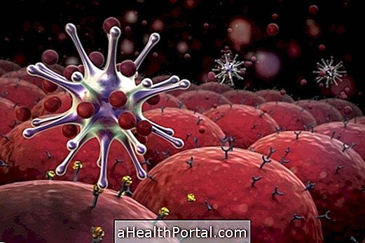 Les lymphocytes - Ce qu'ils sont et leurs valeurs de référence