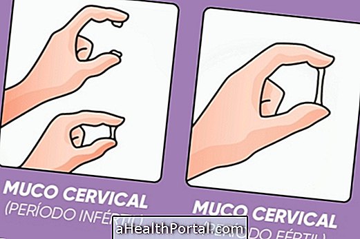 Qu'est-ce que le mucus cervical et ce qu'il indique?