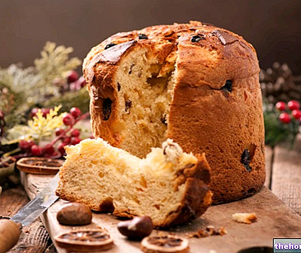 Panettone with Icing