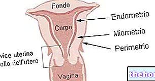 Endometrio que significa