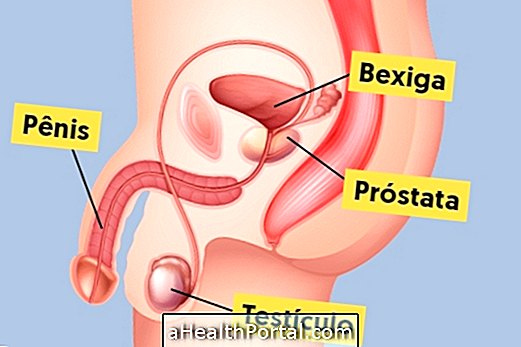 Tout ce que vous devez savoir sur la prostate